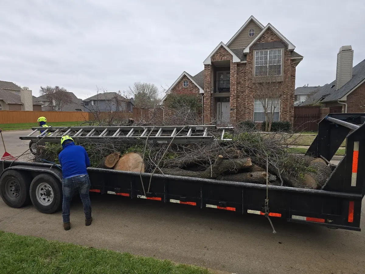Expert Deadwooding with proper safety equipment in Basking Ridge